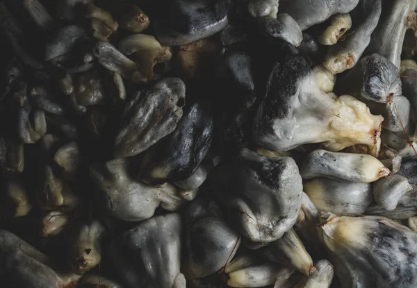 Huitlacoche 'un Macro' su. Yenilebilir mısır mantarı. Geleneksel Meksika yemeği.