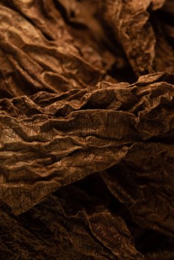 Meksika Chipotle Şili 'sinin Makro portresi