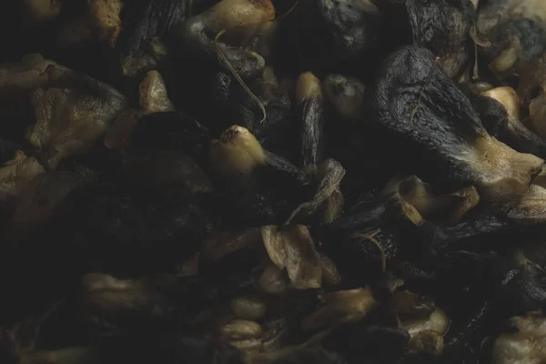 調理されたウチトラコーシュメキシコ料理のマクロを閉じる トウモロコシから食用真菌 — ストック写真