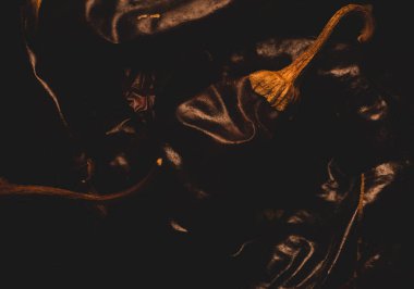 Meksikalı Guajillo Şili Macro yakın çekim, seçici odaklanma