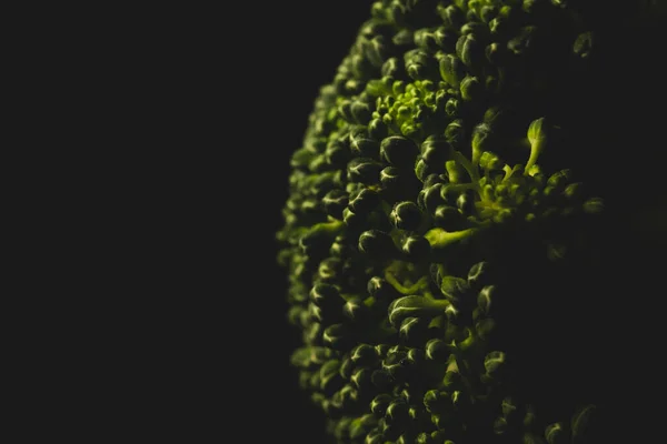 Broccoli Orgánico Macro Primer Plano Enfoque Selectivo — Foto de Stock