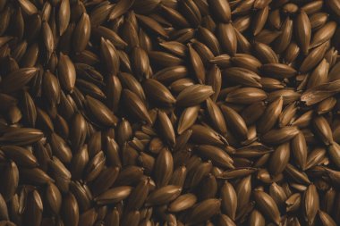 Kuş yemi, Makro yakın çekim, seçici odaklanma