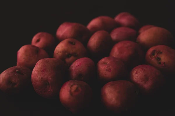 Cambray Pink Potato Macro Nahaufnahme Selektiver Fokus — Stockfoto