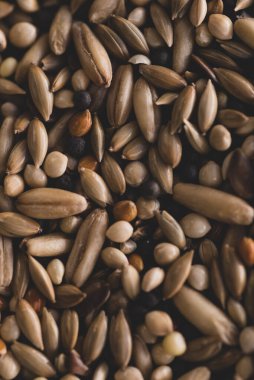 Karışık Kuş tohumları makroyu kapat, seçici odak