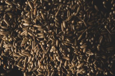 Karışık Kuş tohumları makroyu kapat, seçici odak