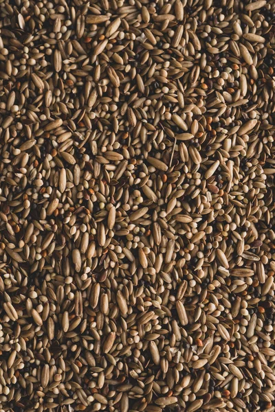 Mixed Bird Seeds Macro Close Selective Focus — Stock Photo, Image