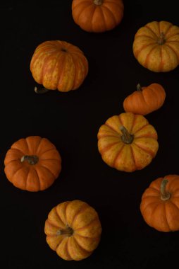 Jack, küçük balkabağı makrosu. Seçici odaklan.