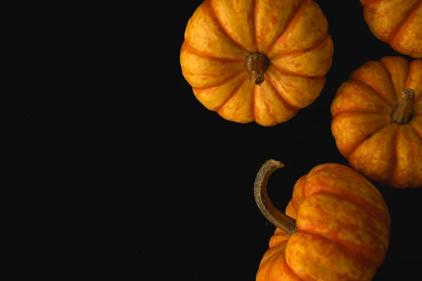 Kleine Hooligan Oranje Gele Pompoen Macro Close Selectieve Focus — Stockfoto