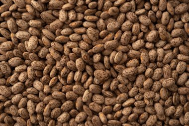 Pinto fasulyesi makrosu yakın çekim, seçici odaklanma