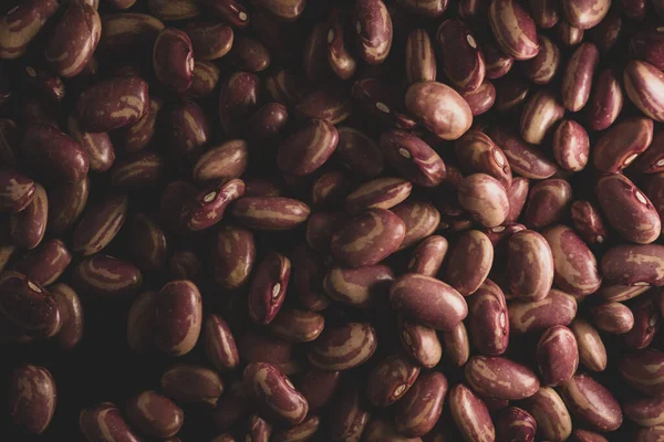 豆のマクロを閉じ 選択的な焦点 — ストック写真