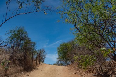 El Triunfo Meksika 'nın geniş açılı manzarası 