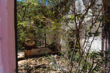 El Triunfo, Kuzey Amerika 'daki en iyi korunmuş 19. ve 20. yüzyıl madencilik topluluklarından biridir ve arkeolojik araştırmalar için önemli bir alandır. Baja California, Meksika