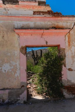 El Triunfo, Kuzey Amerika 'daki en iyi korunmuş 19. ve 20. yüzyıl madencilik topluluklarından biridir ve arkeolojik araştırmalar için önemli bir alandır. Baja California, Meksika