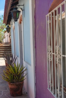 Baja California, Meksika 'daki El Triunfo Hayalet Kasabası' nda güzel bir manzara.