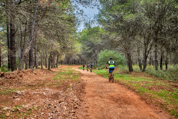 Several people cycling in the countryside