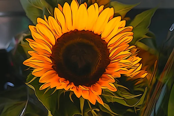 Inomhus solrosor blommar på sommaren sköt i illustrationen läge — Stockfoto