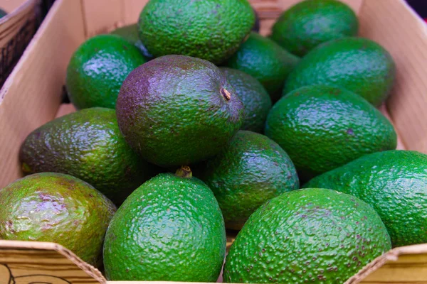 Een krat van rijpe groene avocado's in de supermarkt — Stockfoto