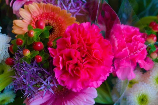 Kwitnących kwiatów wewnątrz z supermarketu — Zdjęcie stockowe