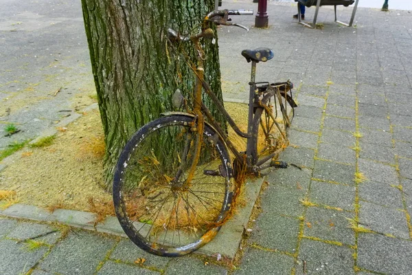 自行车被城市清洁工从运河里捞出来，想被垃圾捡起来 — 图库照片