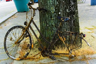 şehir temizleyicileri tarafından kanaldan çıkan ve çöpler tarafından alınmak isteyen bisikletler