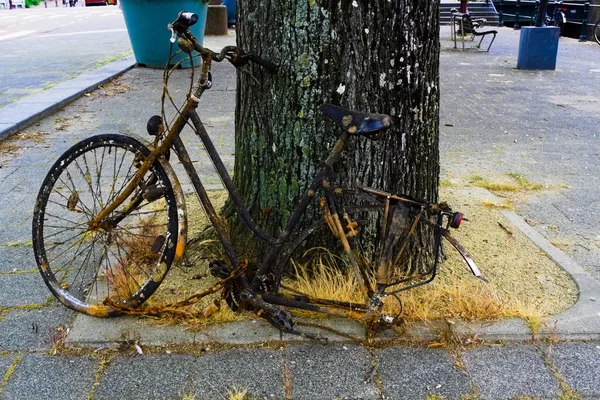 Bikes fished out of the canal by city cleaners and wanting to be picked up by the trash — Stock Photo, Image