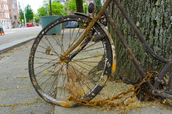 Vélos pêchés hors du canal par les nettoyeurs de la ville et voulant être ramassés par les ordures — Photo