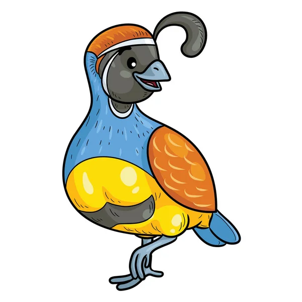 Ilustrasi Burung Puyuh Kartun Yang Lucu - Stok Vektor