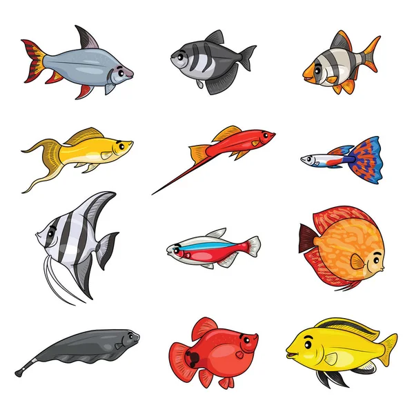 可愛い淡水水族館魚のイラスト漫画 — ストックベクタ