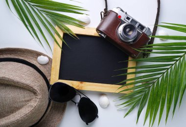 Güneş gözlüğü, Fedora şapka, palmiye yaprağı, kamera, deniz kabukları ve metin için yazı tahtası yer. Seyahat tatil tatil arka plan düz Lay