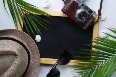 Güneş gözlüğü, Fedora şapka, palmiye yaprağı, kamera, deniz kabukları ve metin için yazı tahtası yer. Seyahat tatil tatil arka plan düz Lay