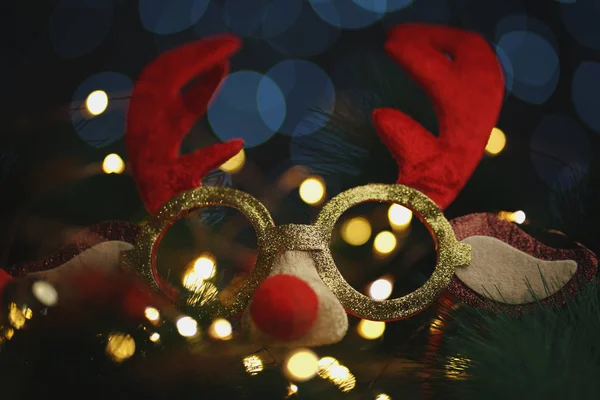 Renifer Boże Narodzenie Okulary Gałąź Jodła Piękne Światło Bokeh — Zdjęcie stockowe