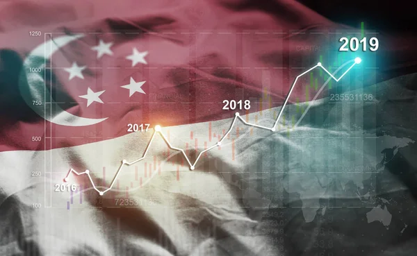 Growing Statistic Financial 2019 Singapore Flag — Stock Photo, Image
