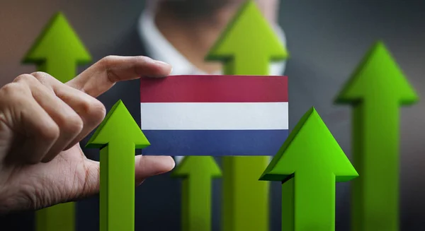 Nation Growth Concept Green Arrows Businessman Holding Card Netherlands Flag — Stock Photo, Image