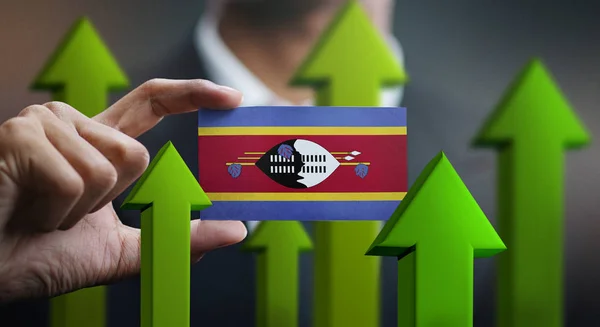 Nation Growth Concept, Green Up Arrows - Businessman Holding Card of Swaziland Flag