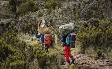 Kılavuzlar Kafalarında Ağır Taşır Kılımanja Dağı 'nı