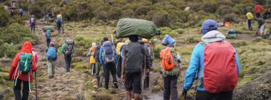 Kilimanjaro Dağı 'na tırmanan Trekkerler, Kilimanjaro Milli Parkı, 