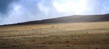 Kilimanjaro Dağı, Kilimanjaro Ulusal Çölleri 