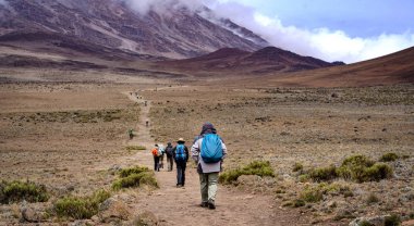 Kilimanjaro Dağı 'nda yürüyüş yapan yürüyüşçüler grubu, Kilimanjaro Natio