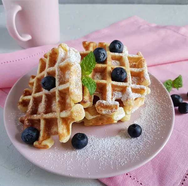 Taze yaban mersini ve nane ile ev yapımı Belçika waffle. Kahvaltı.