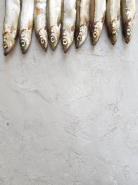 Deniz ürünleri. Küçük deniz balığı, anhoviler, Smelt, kapelin, gri bir arka planda. Kopya alanı ile balık deseni