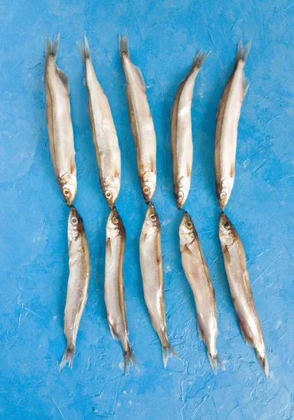 Balık deseni. Deniz ürünleri. Mavi arka planda küçük deniz balığı, anhovisler, Smelt, kapelin,