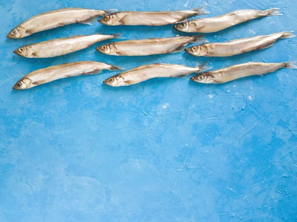 Balık deseni. Deniz ürünleri. Küçük deniz balığı, anhovisler, Smelt, kapelin, kopya alanı ile mavi bir arka planda