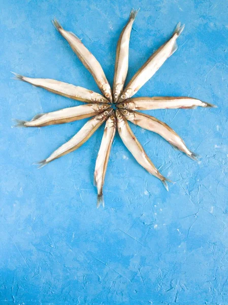 Deniz ürünleri. Etrafta balık var. Küçük deniz balığı, anhovisler, Smelt, kapelin, kopya alanı ile mavi arka planda