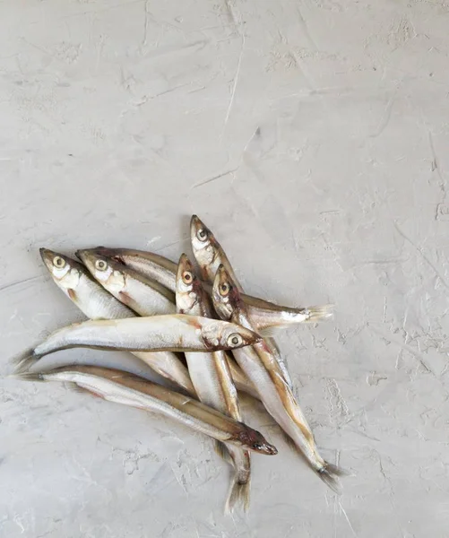 Deniz ürünleri. Küçük deniz balığı, anhoviler, Smelt, kapelin, gri bir arka planda. Kopya Spase