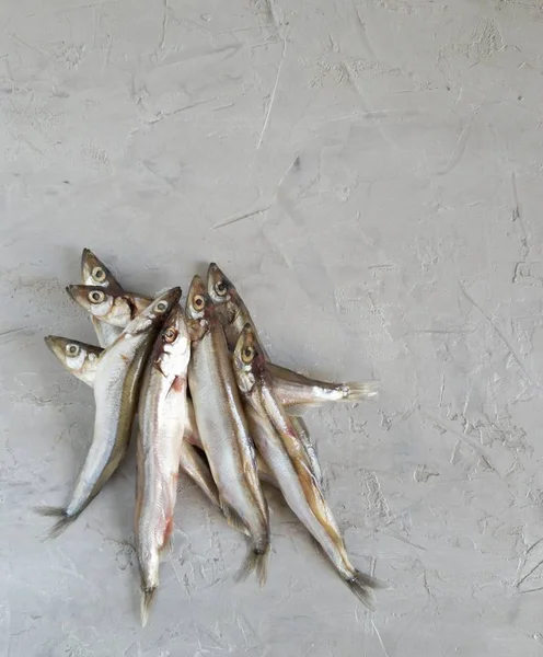 Deniz ürünleri. Küçük deniz balığı, anhovisler, Smelt, kapelin, kopya alanı ile gri bir arka planda