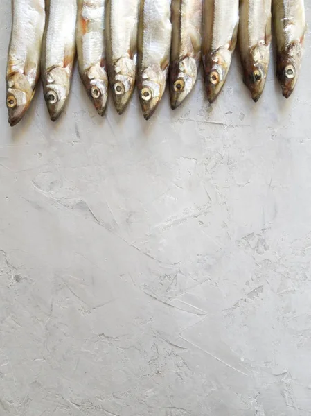 Deniz ürünleri. Küçük deniz balığı, anhoviler, Smelt, kapelin, gri bir arka planda. Kopya alanı ile balık deseni