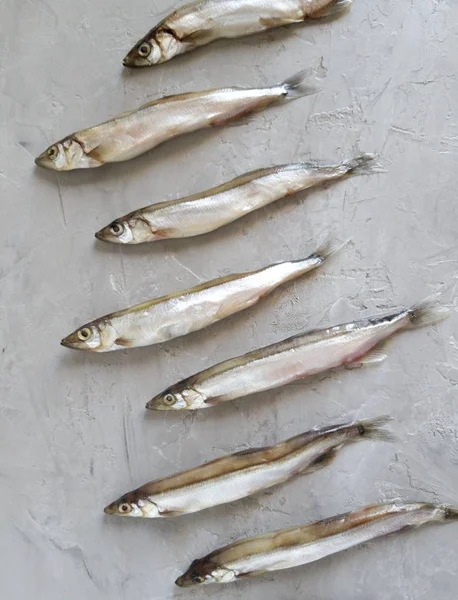 Balık deseni. Deniz ürünleri. Küçük deniz balığı, kapelin, anhoviler, Smelt, gri bir arka planda