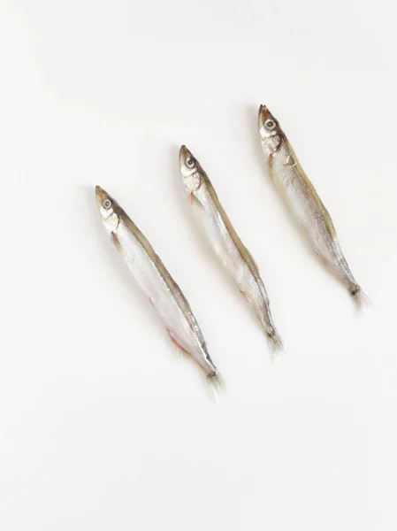 Seafood Small Sea Fish Anchovies Smelt Capelin Isolated White Background — Stock Photo, Image