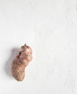 Kopya alanı ile açık gri arka plan üzerinde Çiğ kusurlu doğal patates. Organik sebzeler