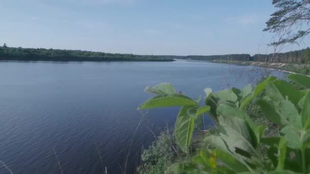 Europäischer Fluss vom Hügel im Sommer — Stockvideo